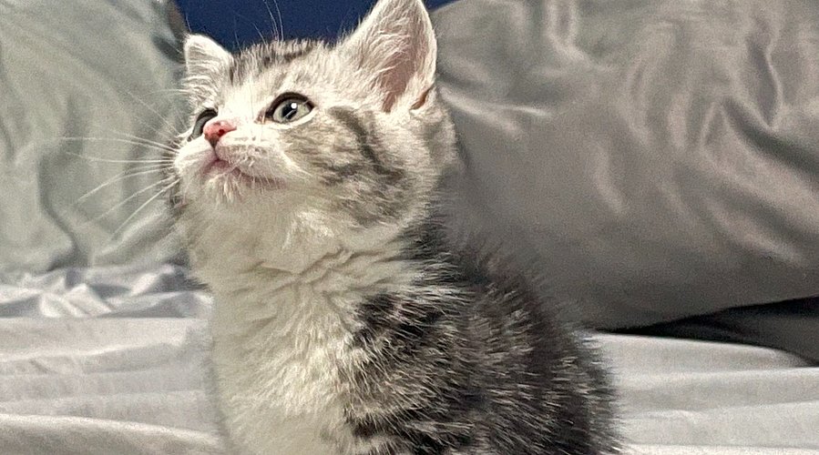 下下棋听听歌！！！