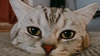 卡不卡啊？