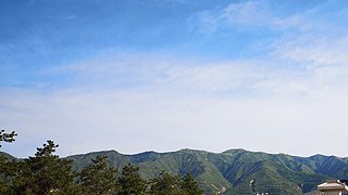 s11100冲冲冲
