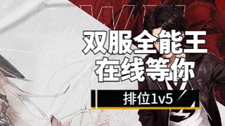 帮打排位秒上号0.0