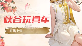国服第一烬 2717961