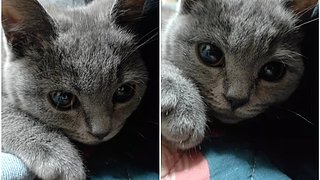 没事斗斗地主 3860130