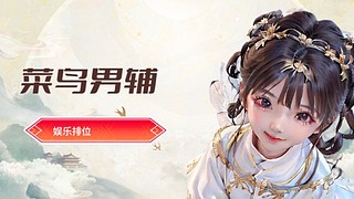 菜鸟男辅（娱乐排位）