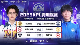 王者荣耀挑战者杯