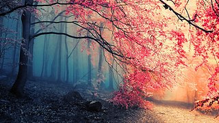 《孙子兵法》直播间~