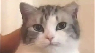 取名太难我选择不取的直播间2254