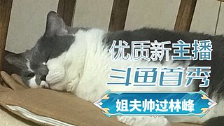 姐夫帅过林峰的直播间