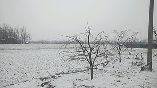 指尖上的中含蓄