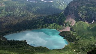 p萨大头黑狗哥哥！别搞我我是好人！