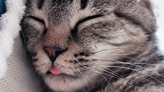 小冻梨儿的直播间