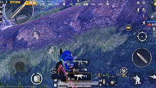 挖哞哞的波波间