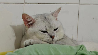 400分开冲国一，上分随时上号