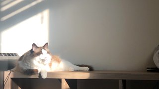 菜的几分像从前