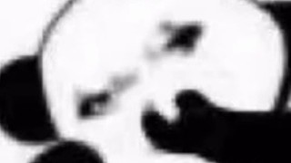 和平精英娱乐老玩家