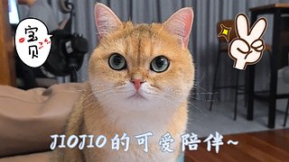 [雨花台]-129五门JIOJIO