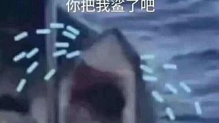 高桑z的直播间