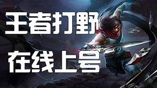高手打野来个号