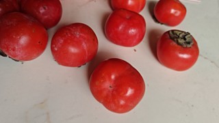 家里的柿子熟啦