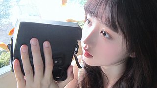 懂事的小猫宝宝