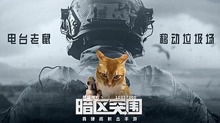 老鼠大王回来咯么么哒