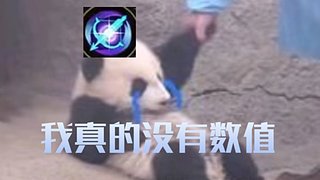 【楼外-沐枫】一之窟狂野猪人