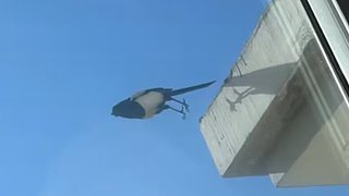 养胃治疗室
