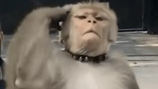 一雨289的直播间2144