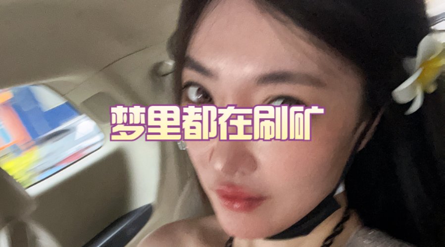 梦里都在刷矿