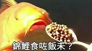 新地区清任务中