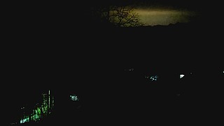 哈士奇烤平菇的直播间