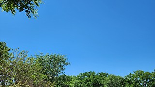 WAYSL0528的直播间