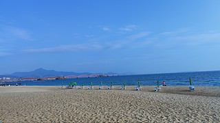 深圳全民GO扫街真实流水
