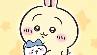 點(diǎn)子姐的直播間