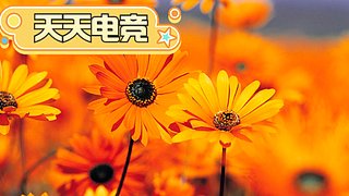 猛攻 端午六一快乐