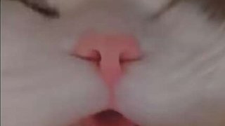 播给老婆看lqysgg