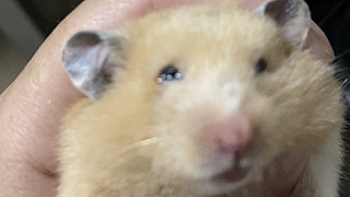 最依赖的温柔46876的直播间