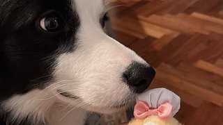 电一排位了啦啦啦