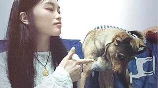 QY小俪的直播间