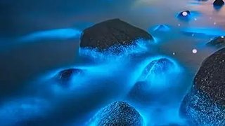 哈哈哈哈直播间 666