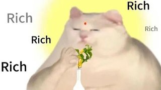 顶级44 12579961