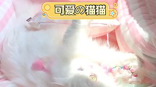 鹿式甜甜的直播间