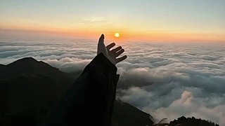 小阔爱们快进来