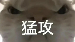在线拷打入机主包
