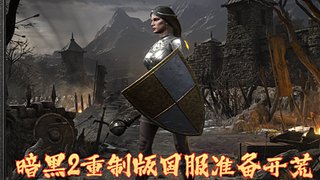 113版本暗黑2聯(lián)機MOD