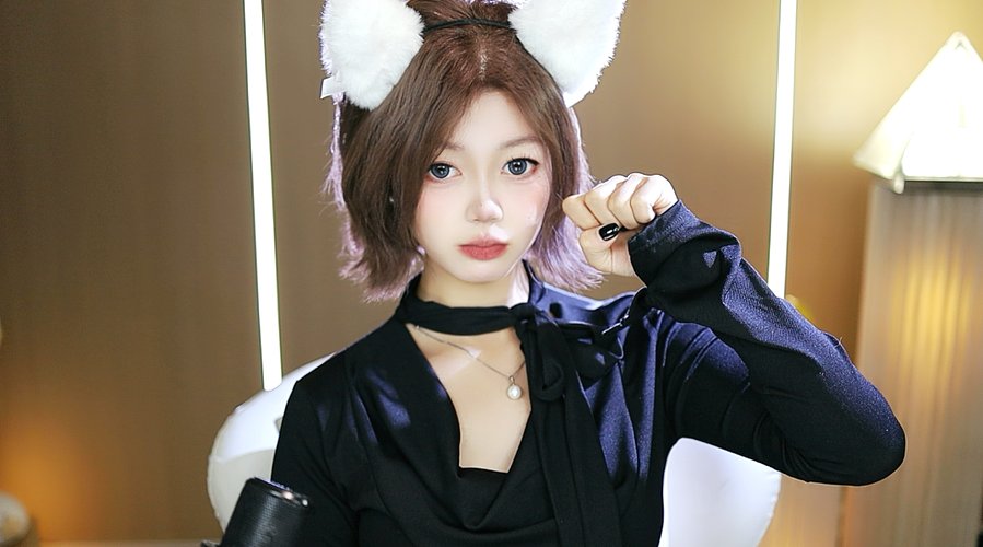 生活不能没有小猫咪