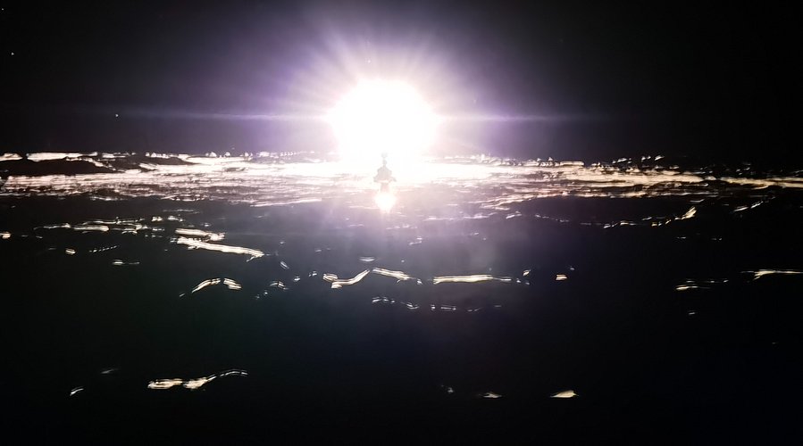 新生代小鱼王！！！