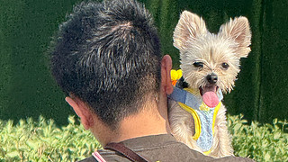 从1500，挑战5000分