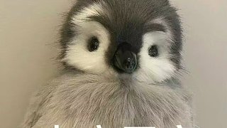 冰冰有理！