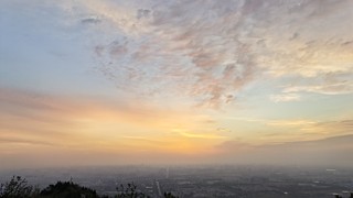 井秀秀秀CF手游