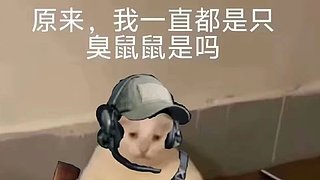 1025379254的直播间